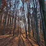Panorama Vagashuta