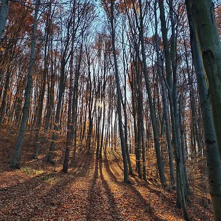 Panoráma Vagashuta