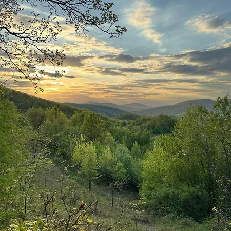 Panorama Vagashuta
